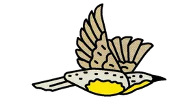 Tại sao tiếng chim hót lại tốt cho sức khỏe tinh thần của chúng ta?