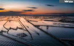 Chùm ảnh: Đón bình minh ở Đầm Chuồn