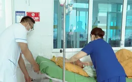 Lai Châu: 14 người nhập viện nghi ngộ độc nấm hoang