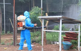 Đồng Nai tăng cường công tác phòng chống dịch sốt xuất huyết
