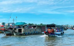 Lập Ban quản lý để bảo tồn Chợ nổi Cái Răng