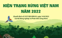 Hiện trạng rừng Việt Nam năm 2022