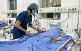 Cảnh báo sốc phản vệ do côn trùng đốt