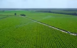 Sản xuất xanh – Giải pháp phát triển bền vững