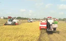 Hoàn thiện khuôn khổ pháp lý về tổ chức, hoạt động của Quỹ Hỗ trợ nông dân