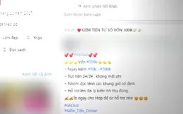 Sự thật đằng sau chiêu mời "ngồi nhà cũng có thể kiếm vài triệu đồng/ngày''