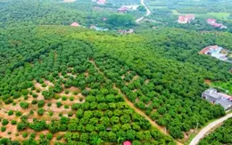 Mọi chủ trương đều hướng đến giảm nghèo bền vững