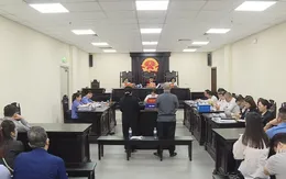 Vụ chuyển nhượng "đất vàng" tại phố Bà Triệu, Hà Nội: Kháng nghị tăng hình phạt