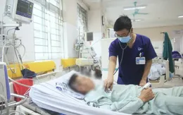Cảnh báo ngộ độc củ ấu tàu