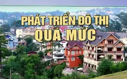 Từ vụ sạt lở nghiêm trọng ở Đà Lạt: Cần có cách ứng xử đúng mực với thiên nhiên