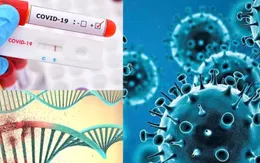 Sẽ có thay đổi gì khi chuyển bệnh COVID-19 từ nhóm A sang nhóm B?