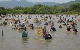 Hàng nghìn người tham gia lễ hội đánh cá Vực Rào