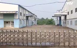 Lao động thiệt thòi khi doanh nghiệp chây ì đóng bảo hiểm xã hội