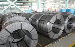 Bộ Công Thương gia hạn ban hành quyết định điều tra áp dụng chống bán phá giá cáp thép