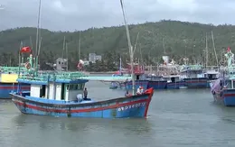 Nghiêm túc kiểm điểm nếu để xảy ra sai phạm về chống khai thác IUU