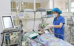 Hai người ngộ độc nguy kịch sau khi ăn so biển