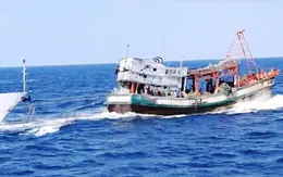 Quyết tâm gỡ thẻ vàng thủy sản vào tháng 10/2023