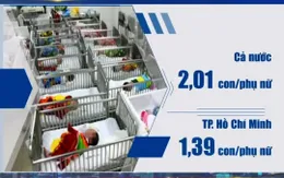 TP Hồ Chí Minh không đạt mức sinh thay thế