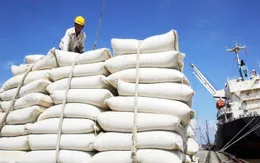 Triển vọng tích cực của xuất khẩu gạo