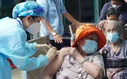 Thành phố Hồ Chí Minh triển khai khám sức khỏe miễn phí cho người cao tuổi