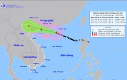 Bộ Y tế yêu cầu trực cấp cứu 24/24, sẵn sàng thu dung cấp cứu trong mưa, bão