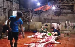 Khó khăn xóa bỏ các lò mổ trái phép