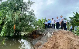 Sạt lở tiếp diễn nghiêm trọng tại Tiền Giang