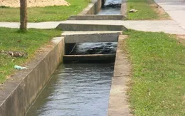 Điều tra, làm rõ nguyên nhân một phụ nữ tử vong dưới mương nước