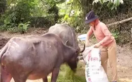 Để giảm nghèo không đi vào lối mòn