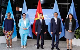 Việt Nam sẽ tích cực tham gia và triển khai các dự án do IAEA khởi xướng