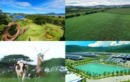 Để có các mô hình "trang trại sinh thái", "trung hòa carbon", Vinamilk đã chuẩn bị như thế nào?