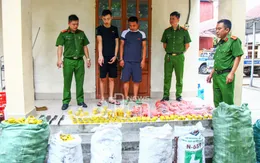 Bắt quả tang nhóm đối tượng sản xuất trái phép pháo hoa nổ, đạn chì