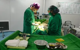 Người phụ nữ bị lột hết da bàn tay do máy cắt cỏ