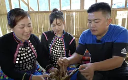 Du lịch trải nghiệm và nguồn cảm hứng mang tên Sapa TV