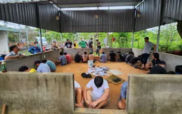 Triệt xóa trường gà, thu giữ một khẩu súng