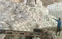 Giá cám gạo chưa biến động sau lệnh cấm của Ấn Độ