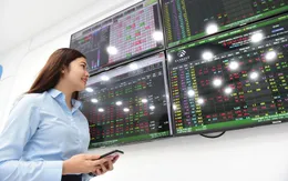 Lợi nhuận quý II phân hóa