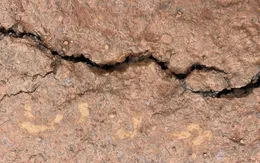 Đắk Nông: Nứt gãy, sạt lở đất sau tiếng nổ lớn bất thường