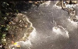 Ô nhiễm nước thải khu công nghiệp, người dân bức xúc