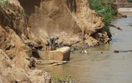 Sạt lở bờ sông Pô Kô để lộ bãi gỗ dài hàng trăm mét