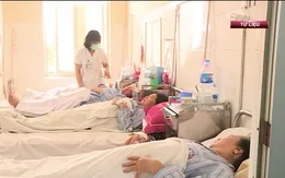 Bộ Y tế yêu cầu cấp thiết phòng chống sốt rét