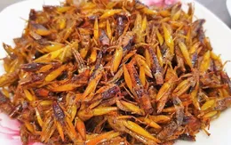 Người phụ nữ tử vong sau khi ăn 1 con châu chấu