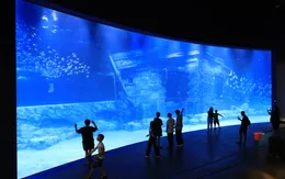 Khám phá thủy cung trong nhà lớn nhất Hà Nội