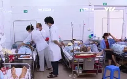 Sốt xuất huyết tại Hà Nội sắp vào đỉnh dịch