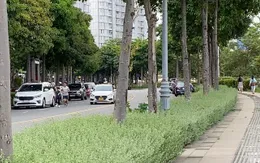 TP Hồ Chí Minh: Đề nghị xây dựng Nghị quyết ban hành mức thu phí sử dụng tạm thời lòng đường, hè phố