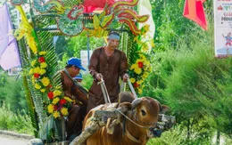 Khánh Hòa: Sôi động và vui nhộn với cuộc đua xe bò