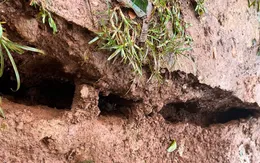 Đắk Nông khẩn trương tìm nguyên nhân xuất hiện các vết nứt gãy