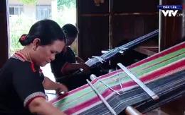 Cuộc sống đồng bào Tây Nguyên ngày càng tốt hơn