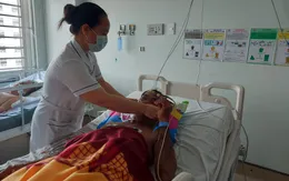 Một ngư dân tử vong, hai người nhập viện do ăn cá nóc