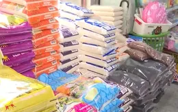 Ấn Độ bác thông tin về việc áp thuế xuất khẩu gạo